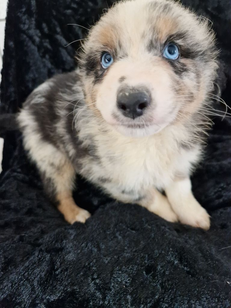 Tex