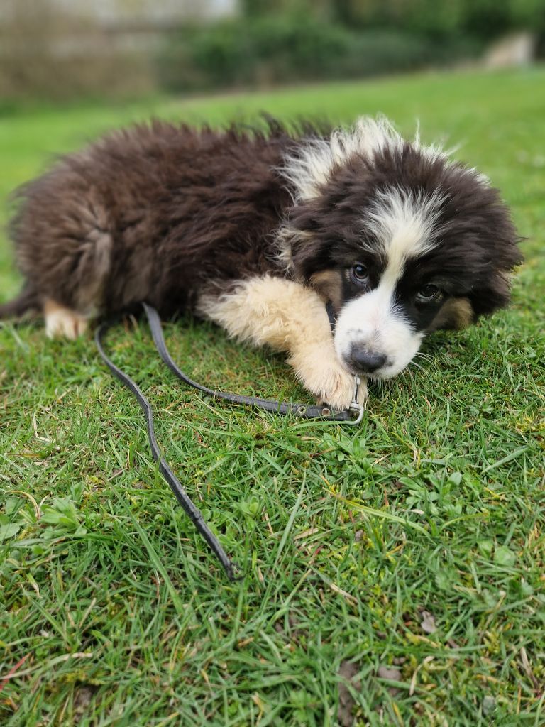 Ted