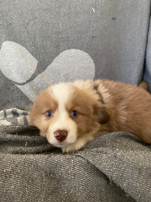 Tina